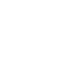 MSC Properties